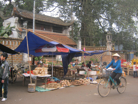 Ban giám sát đầu tư của cộng đồng là 'tai mắt' của dân