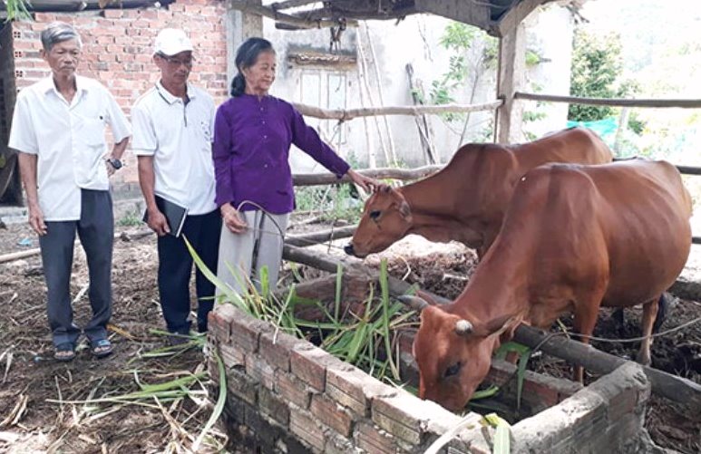 Quảng Nam: Huyện Quế Sơn phát động phong trào hỗ trợ nạn nhân da cam