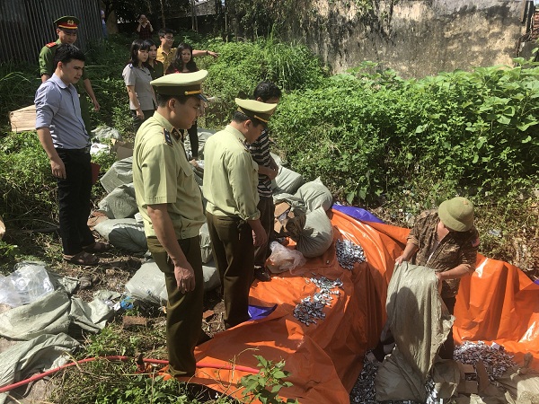 Tiêu hủy dây truyền đóng gói pin tiểu, bao bì, tem nhãn giả mạo nhãn hiệu TOSHIBA, MAXELL