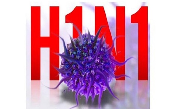 Trà Vinh: Ghi nhận một trường hợp tử vong do nhiễm cúm A/H1N1 - Hình 1