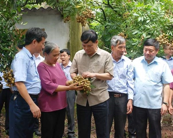 Hưng Yên: Bác bỏ thông tin nhãn nhúng lưu huỳnh