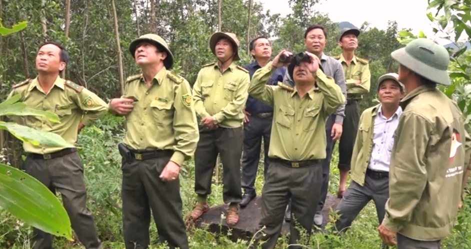 Quảng Nam: Lập khu bảo tồn đàn voọc chà vá chân xám quý hiếm - Hình 1