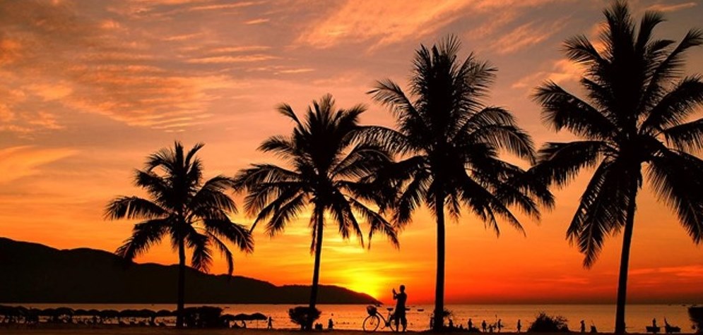 Đà Nẵng: Hợp tác với Singapore xây dựng đô thị xanh - thông minh