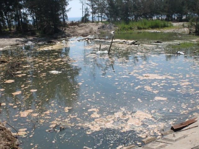 Hà Tĩnh: Công ty Tiến Đạt bị phạt nặng vì gây ô nhiễm môi trường