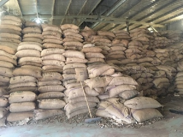 Công ty Nông sản Thái Bình bị khởi tố hình sự vì trốn thuế