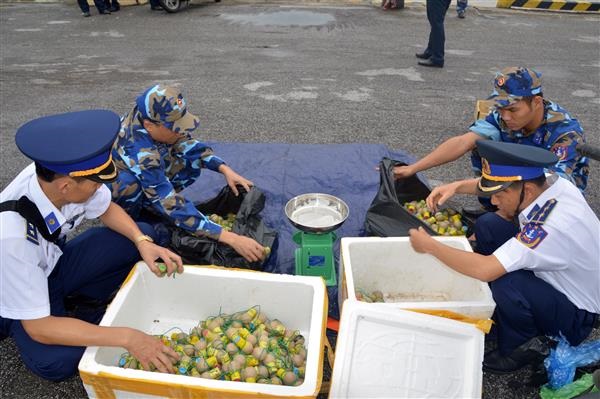 Cảnh sát biển 1: Bắt giữ 2 thùng xốp chứa 30 kg pháo nổ - Hình 1