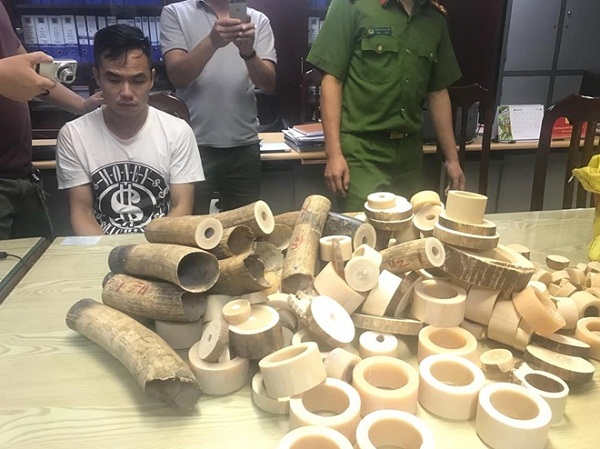 Hà Nội: Bắt giữ 2 đối tượng tàng trữ 179 kg ngà voi - Hình 1