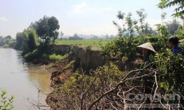 'Cát tặc' hoành hành, sông Đồng Nai ngày càng kiệt quệ, chính quyền than khó - Hình 1