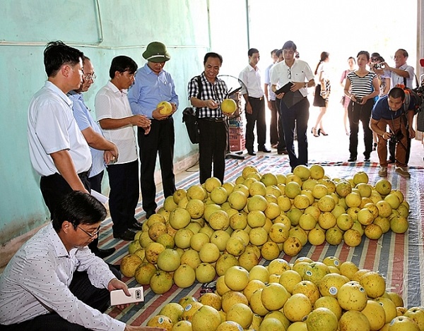 Xây dựng, đăng ký chỉ dẫn địa lý cho sản phẩm