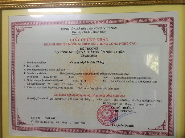 Quảng Bình: Một DN có nguy cơ phá sản vì quyết định chưa thấu tình đạt lý?