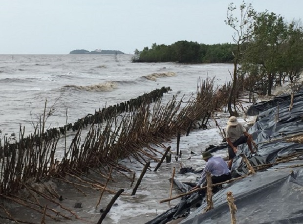 Cửa biển sạt lở liên tiếp, Cà Mau khẩn cấp đầu tư xây kè chắn sóng