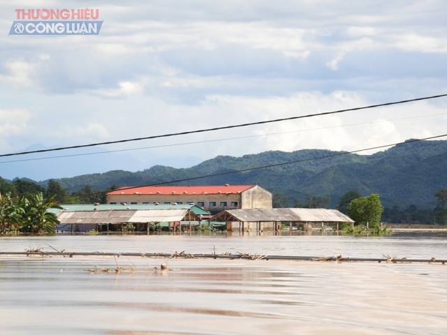 Nghệ An: Nước lũ dâng cao 'nhấn chìm' nhiều vùng hạ lưu - Hình 2