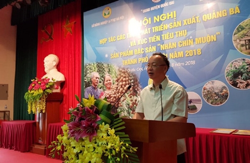 Tiếp tục đẩy mạnh xuất khẩu sản phẩm nhãn chín muộn