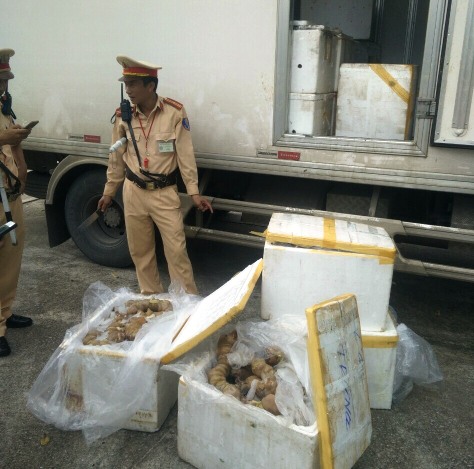 Thanh Hóa: Bắt giữ 3 tạ nội tạng, thịt bò đang trong quá trình phân hủy