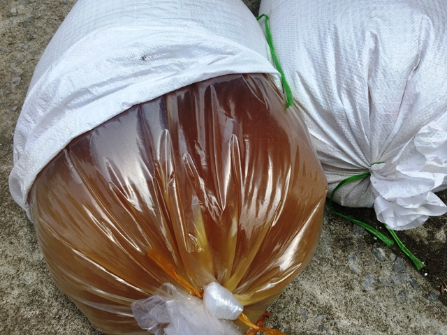 Thanh Hóa: Bắt giữ 7,5 tạ mỡ động vật không giấy tờ hợp lệ