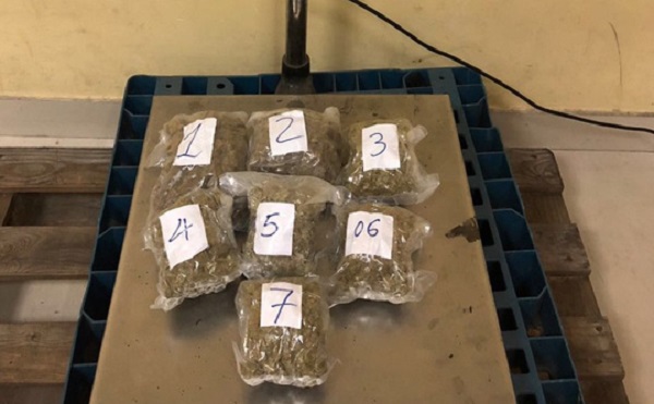 TP.HCM: Hải quan Tân Sơn Nhất phá đường dây vận chuyển cần sa từ Mỹ về Việt Nam