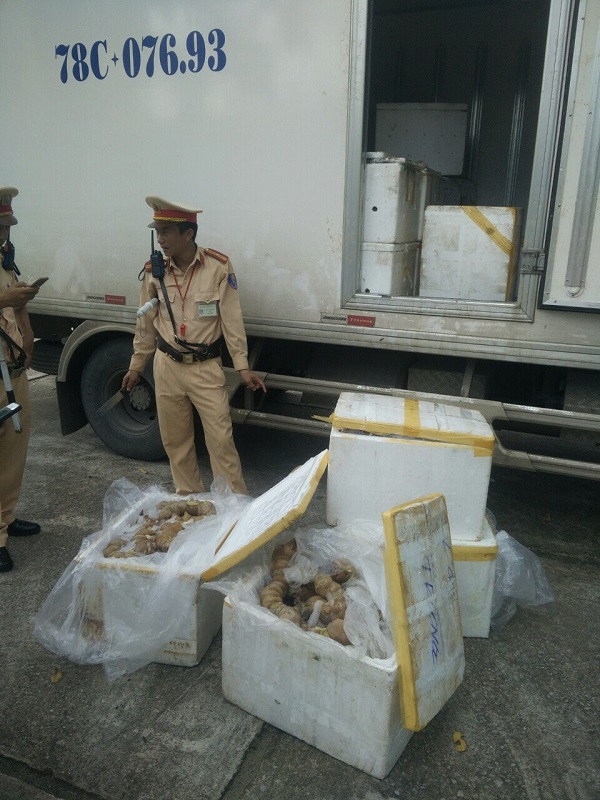Thanh Hóa: Bắt giữ 300kg nội tạng và thịt chân giò đang phân hủy
