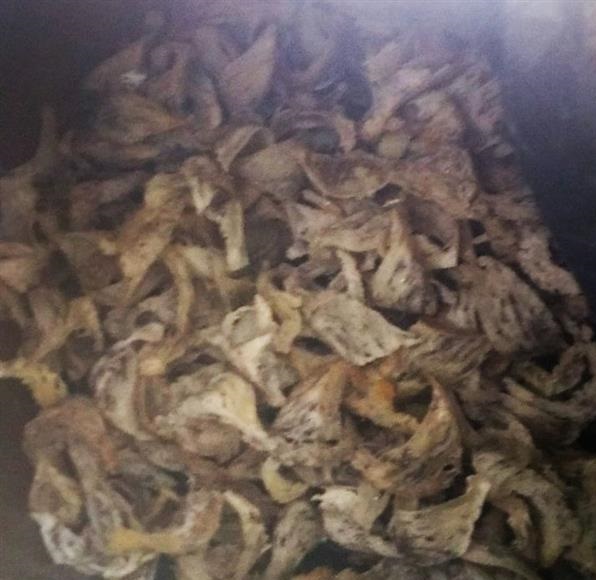 Hải quan Kiên Giang: Bắt giữ 53 kg tổ yến nhập lậu