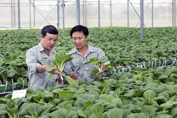 Chính sách khuyến khích phát triển nông nghiệp hữu cơ - Hình 1