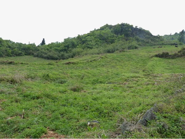 Nghệ An: Nhiều hộ dân ‘bỗng dưng’ mất đất rừng?