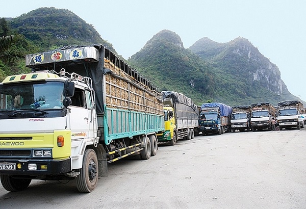 Việt Nam thỏa thuận đa phương với hệ thống thương mại toàn cầu - Hình 1