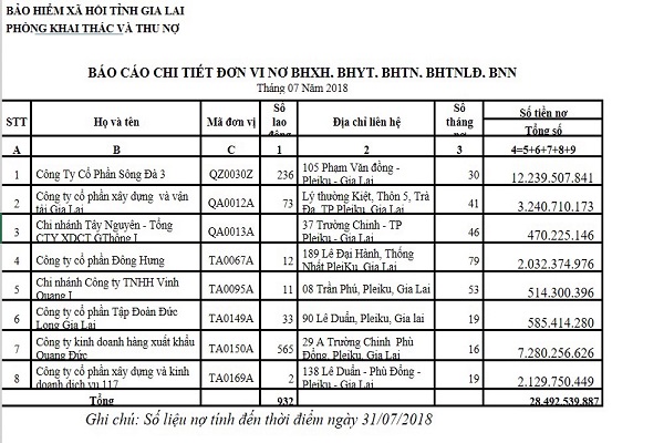 Gia Lai: Doanh nghiệp nợ BHXH kéo dài lên đến hàng chục tỉ đồng
