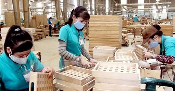 Gỗ Trung Quốc ‘đội lốt’ hàng Việt xuất khẩu để né thuế