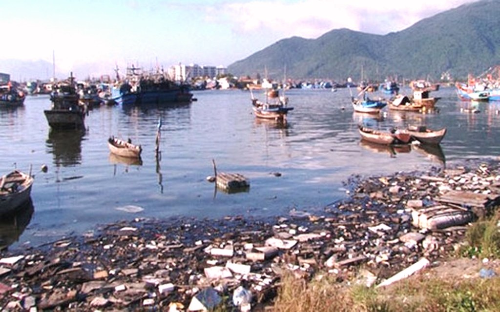 Đà Nẵng: Âu thuyền Thọ Quang bị ô nhiễm nặng - Hình 3
