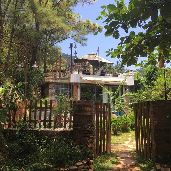 Huyện Sóc Sơn, Hà Nội: Thêm tiếng kêu cứu của một khu rừng phòng hộ!