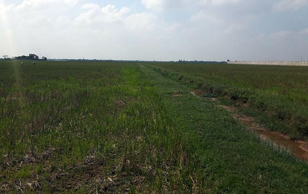 Thủ tướng đồng ý cho Nghệ An chuyển đổi 14, 3 ha đất nông nghiệp - Hình 1