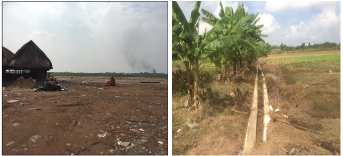 UBND TPHCM: Kiên quyết xử lý nghiêm vi phạm xây dựng tại dự án KCN Phong Phú