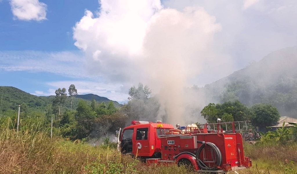 Đà Nẵng: Rừng bán đảo Sơn Trà đang thực sự trở nên báo động