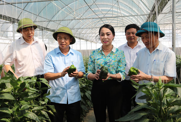 Huyện Tam Dương (Vĩnh Phúc): Dấu ấn 20 năm tái lập - Hình 2