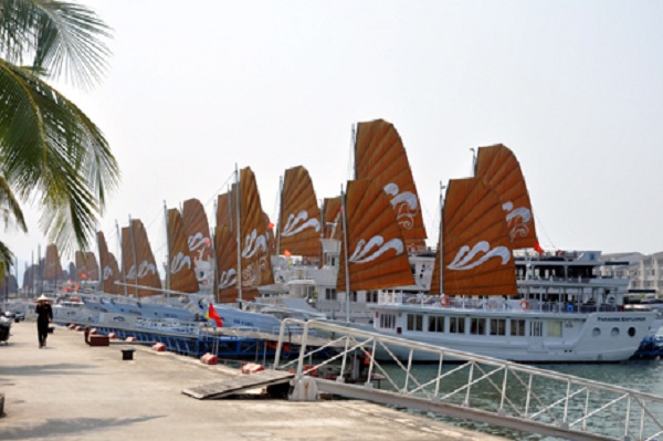 Quảng Ninh: Tiêu hủy hàng loạt tàu thuyền đeo bám tàu du lịch để bán hàng rong trên vịnh Hạ Long - Hình 1