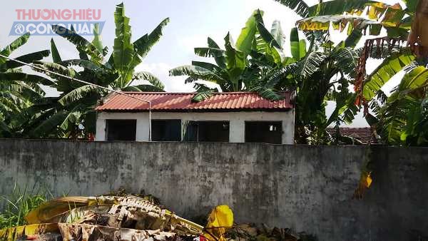 Vĩnh Phúc: Khốn khổ vì trường có 5 khu vệ sinh nhưng không thể sử dụng - Hình 2