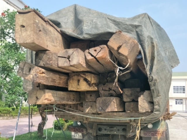 Hà Tĩnh: Tạm giữ xe tải chất đầy gỗ lậu - Hình 1