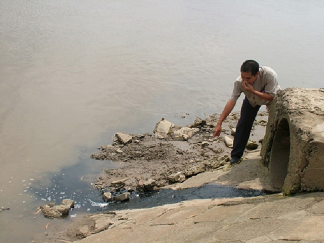 Nguồn nước từ các sông Đồng Nai, Sài Gòn ngày càng ô nhiễm - Hình 1