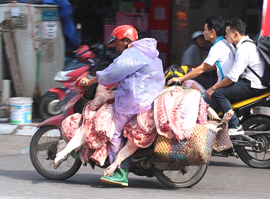 Đà Nẵng: Cần xử nghiêm việc vận chuyển thực phẩm tươi sống không bảo đảm vệ sinh môi trường