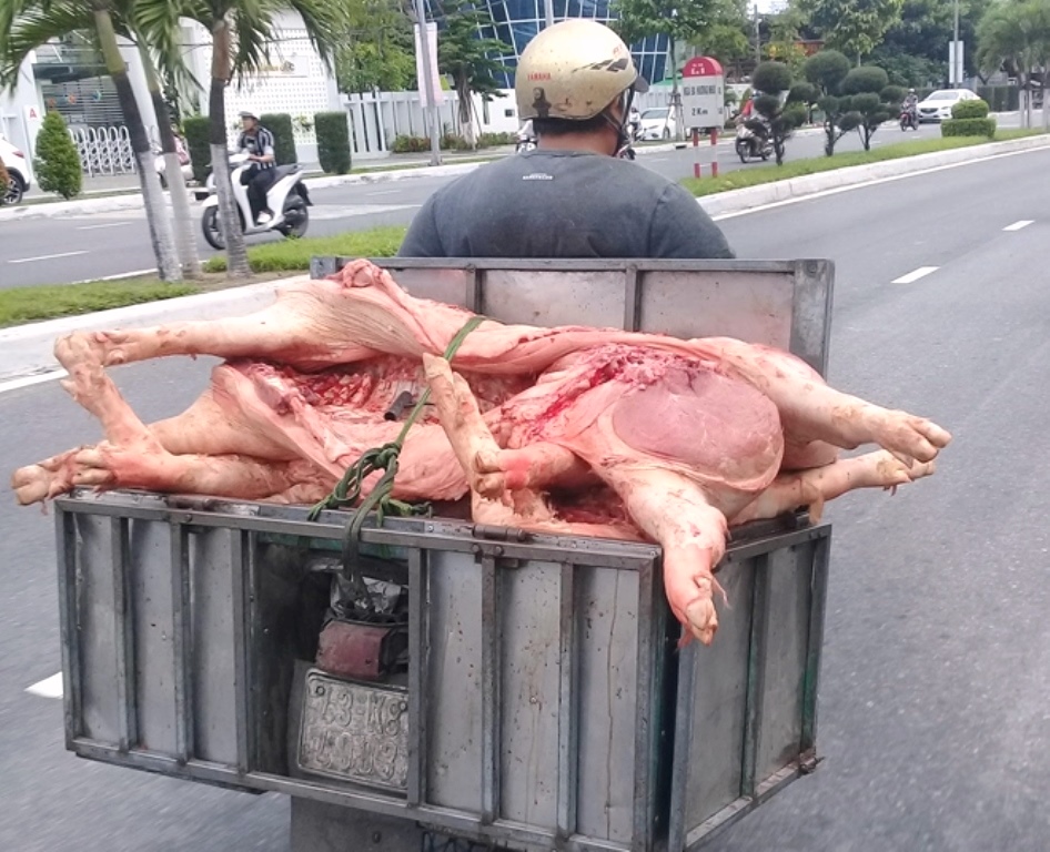 Đà Nẵng: Cần xử nghiêm việc vận chuyển thực phẩm tươi sống không bảo đảm vệ sinh môi trường - Hình 2