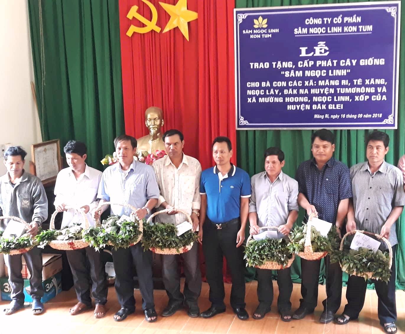 KonTum: Trao tặng gần 50.000 cây giống sâm Ngọc Linh trị giá 14 tỷ