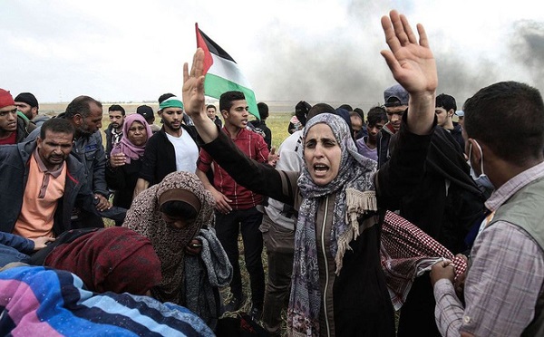 Mỹ cắt giảm viện trợ giải quyết xung đột giữa Israel và Palestine