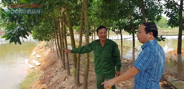 Thanh Thủy (Phú Thọ): Cần làm rõ đất sổ đỏ người dân bị “hô biến” thành ao nuôi thủy sản - Hình 1