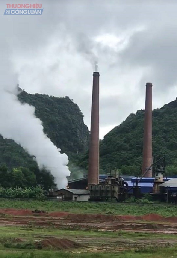 Bỉm Sơn (Thanh Hóa): Nhà máy sản xuất than cốc gây ô nhiễm môi trường? - Hình 1