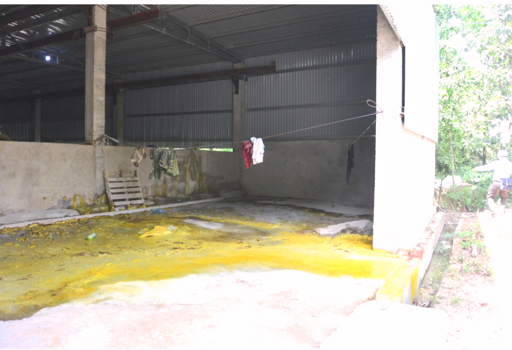 Quảng Nam: Nhà máy chế biến đá xả thải gây ô nhiễm môi trường nặng