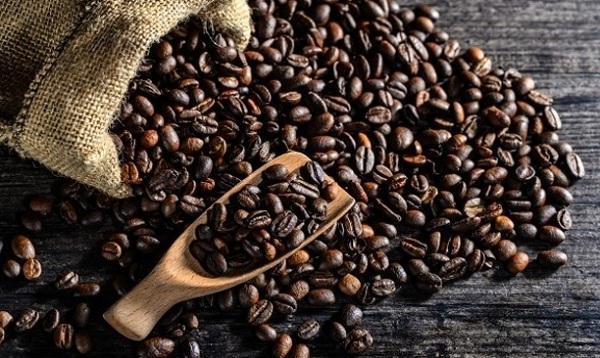Giá cà phê hôm nay (24/9): Tiếp tục giảm 400 đồng/kg - Hình 1