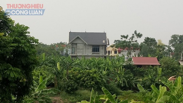 Ba Vì (Hà Nội): Hàng loạt công trình xây dựng trên đất nông nghiệp tại xã Đông Quang? - Hình 3