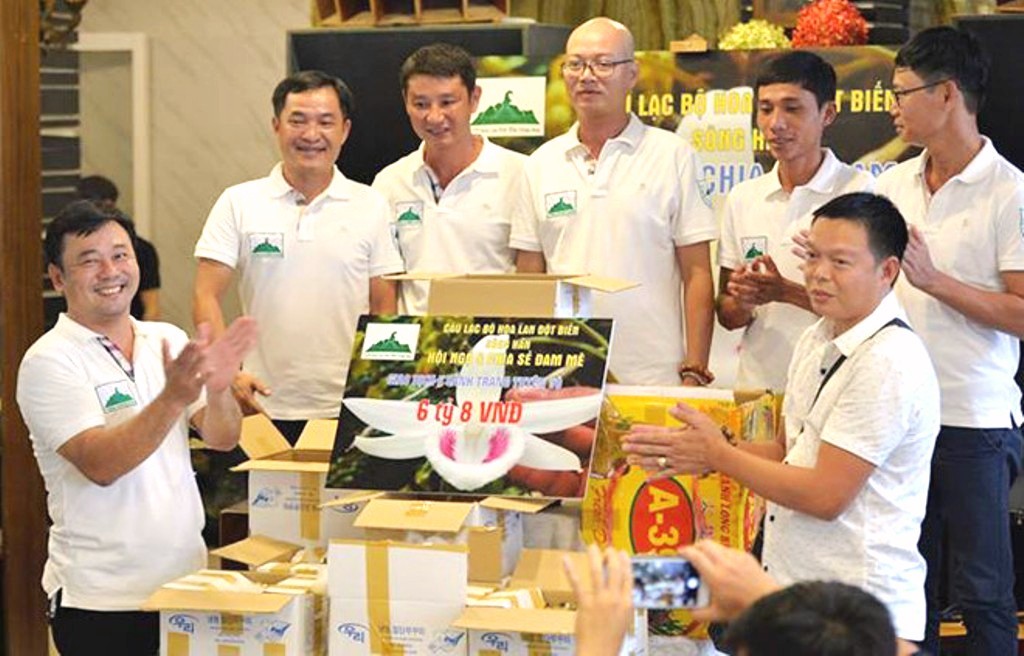 Đà Nẵng: Giỏ hoa lan độc nhất vô nhị tại Việt Nam trị giá 6,8 tỷ