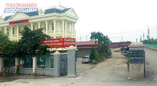 Công ty TNHH Vũ Văn Cường: Hành trình vượt khó và những khát vọng mới - Hình 1