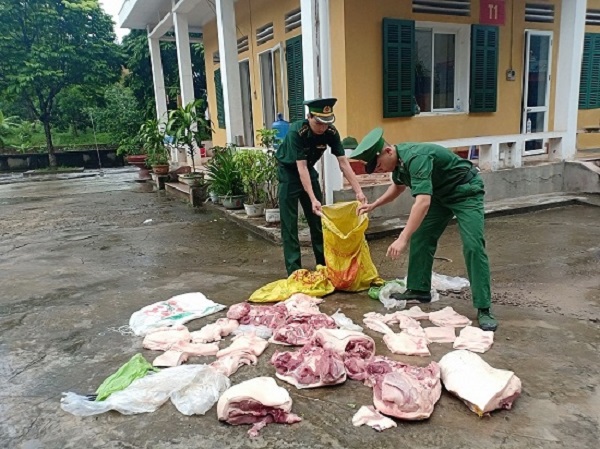 Ngăn chặn nhập lậu lợn, thịt lợn vào nội địa