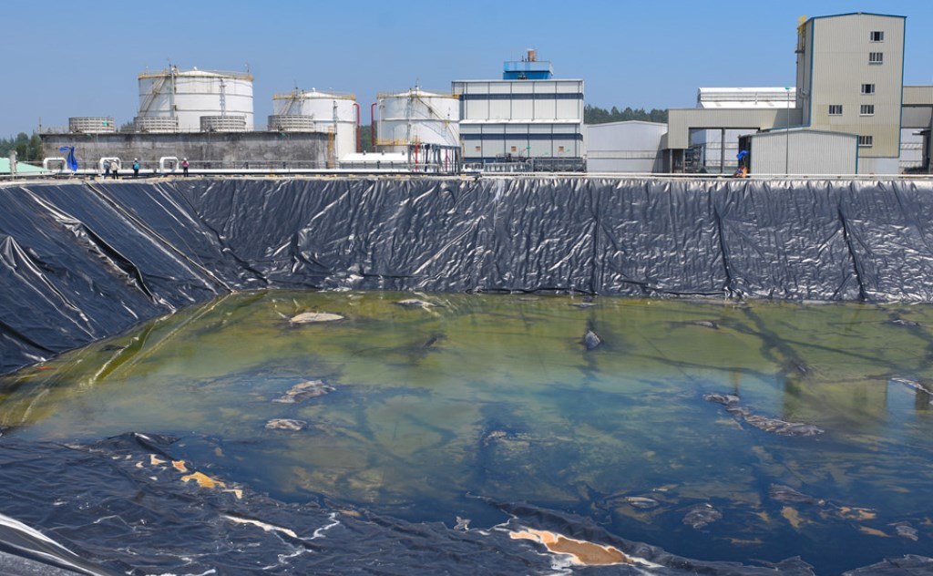 Nhà máy Bio Ethanol Dung Quất: Trở lại sau 3 năm tạm dừng - Hình 6